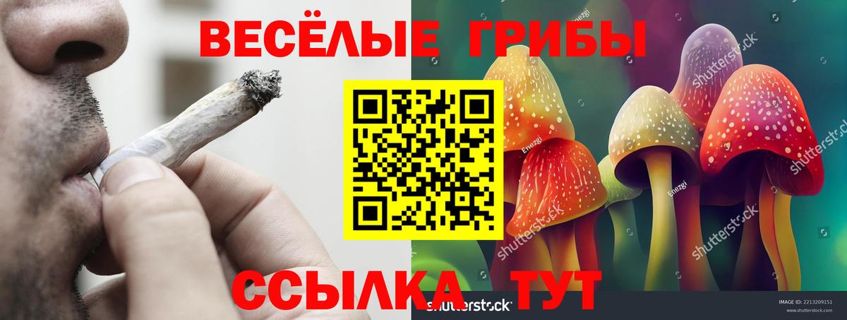 Галлюциногенные грибы Psilocybe Берёзовский